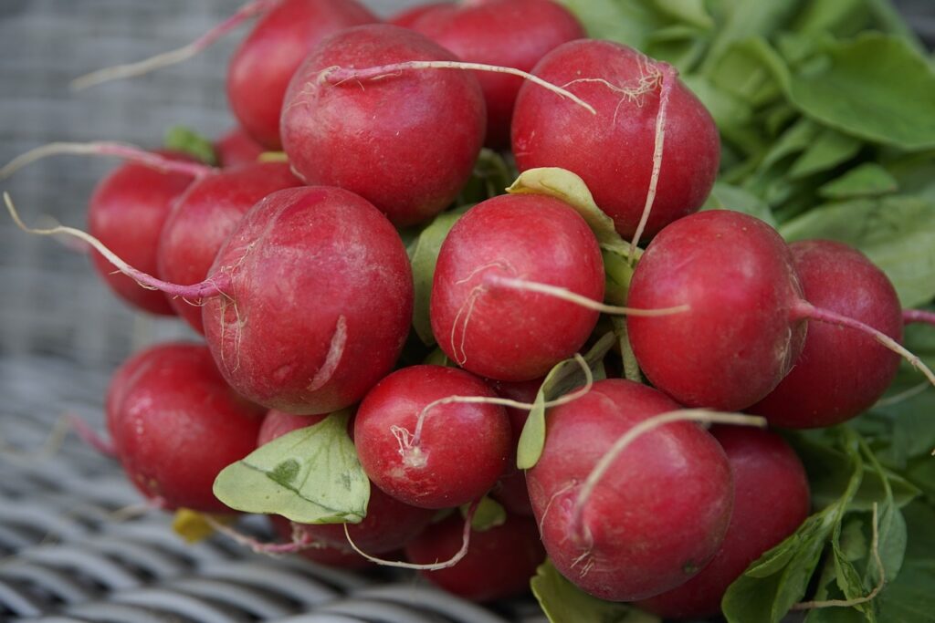 radish, vegetables, root vegetables