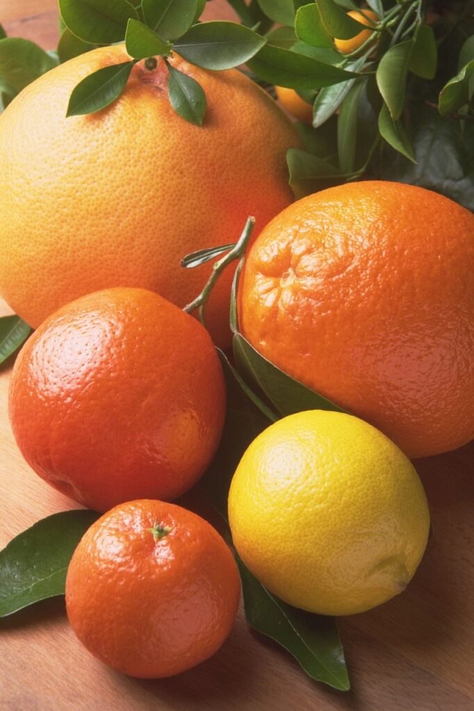 fruit, orange, citrus fruits